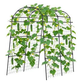 Cucumber Trellis, U-Shape Garden Trellises for Raised Bed, Metal Arch Plant Support for Vine, Climbing Plants Outdoor, Peas, Beans, Zucchini, Tom