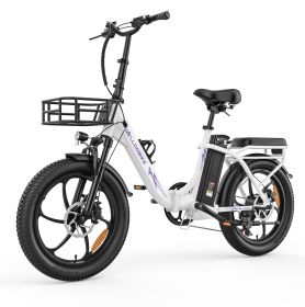 ALLGOBIKE AC20 Electric Bike 250W Motor 48V 20Ah 20"x 3.0" Fat Tyres E-BIKE (Color: White)