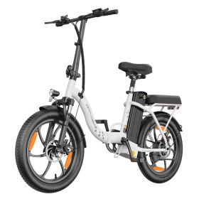 WITAMBIKE C16 Electric Bike 250W Motor 48V 16Ah 20"x 3.0" Fat Tyres E-BIKE (Color: White)