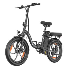 WITAMBIKE C16 Electric Bike 250W Motor 48V 16Ah 20"x 3.0" Fat Tyres E-BIKE (Color: Black)